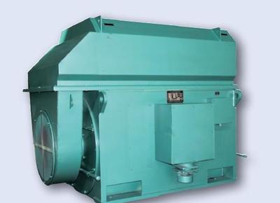 西门子贝得高压电机Y500-4-1000K图像细节解析与工业应用价值